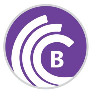 BitTorrent Pro With Crack Free Download [2024]