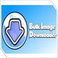 Bulk Image Downloader 6.35 With Crack Full [Latest]